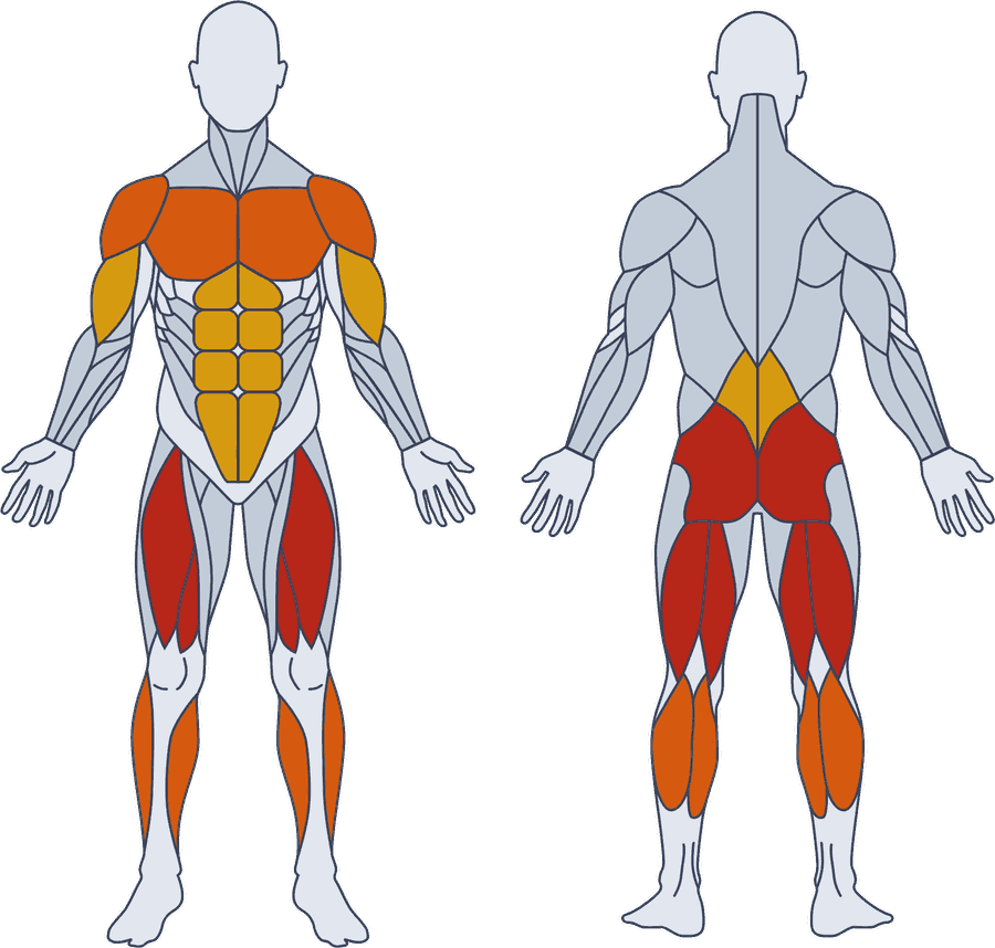 Mapa muscular de frente e de costas, com quadríceps e glúteo em vermelho, panturrilha em laranja e abdômen em amarelo